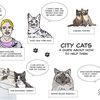 An Illustrated Guide To Helping NYC's Cats